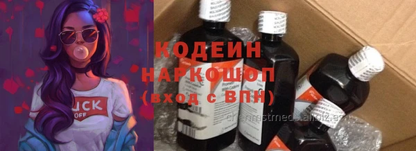 гидра Вязьма