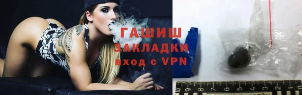 гидра Вязьма