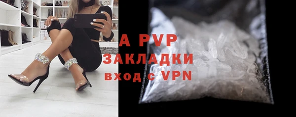 гидра Вязьма