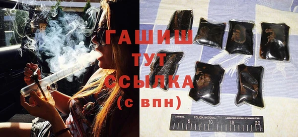 гидра Вязьма