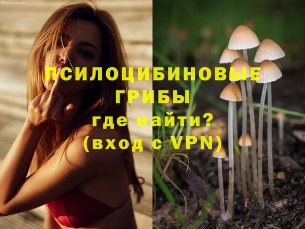 круглые Вязники