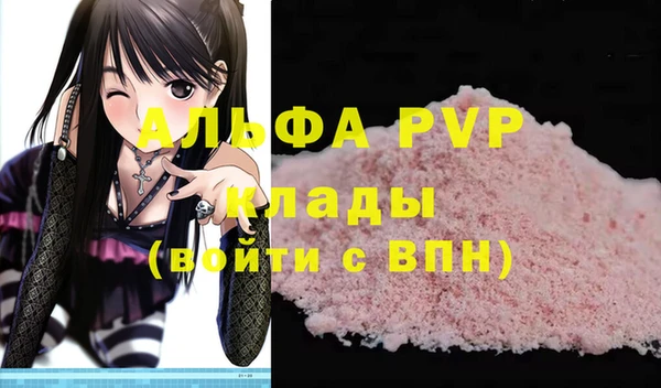 гидра Вязьма