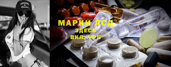 гидра Вязьма
