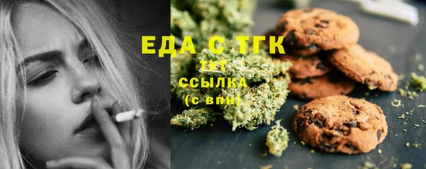 гидра Вязьма